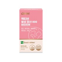 [1박스당 2개월분] GNM 액티브 활성 엽산 800 비타민B / 아연 비타민C 임산부, 1박스, 270mg, 60정