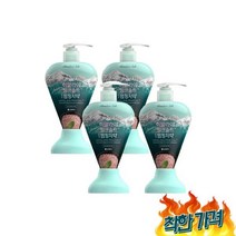 히말라야 펌핑 치약 285g X 4개