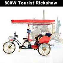 2인승전기자전거 인력거 세발자전거 3 바퀴 택시 pedicap 제조사 전기 승객화물 48V, 01 Electric Price, 한개옵션1