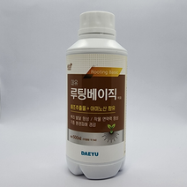 뿌리발근제 대유 루팅베이직 500ml 발근 촉진제 영양제 고추 다육이, 1. 루팅베이직 500ml