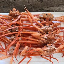 울진 동해바다의 홍게 6미 대자 2.5kg 자숙 수율 85% / 실속형 제철음식 대게철