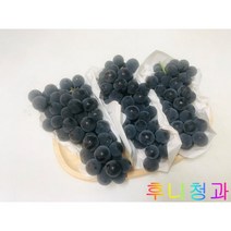 [후니청과] 2k 캠벨 포도, 2kg