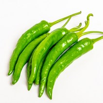 싱싱 매운 땡초 청양고추( 특 ) 1KG 10kg, 청양고추(특) 1kg