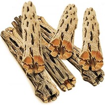 SunGrow Leopard Gecko Cholla Wood 길이 5인치 햇볕을 쬐는 장소 만들기 예술적인 가정 장식 도마뱀 및 수염 드래곤 6팩, 6 팩