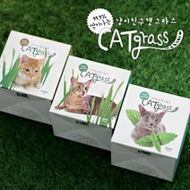 [스토어봄] 캣그라스 키우기 세트 컵형-꿈쟁이, 상품선택:귀리, 상세설명 참조