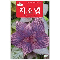 민속씨앗 자소엽씨앗 1000립 씨앗, 1개