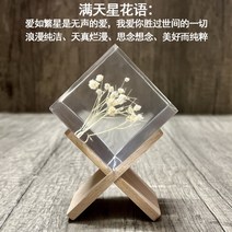 투명 글라스 민들레 꽃잎 장식 오브제 선물 특별한 선물 기념일 장식, 안개꽃+브라켓