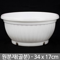 플라스틱 원분재 골분 소형 - 식물 플분 원형화분 분배분 재배분 분갈이 인테리어 베란다 화분, 06_세인_원분재(화이트)-대형