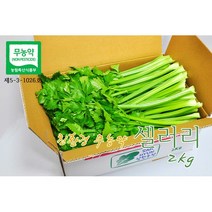 [삼현농장] 친환경 무농약 다용도 셀러리 2kg / 평일 오전 10시주문까지 당일 수확 발송, 1box