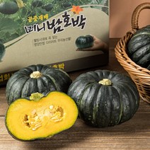 농부의 마음 해남 미니밤호박, 1박스, 2kg