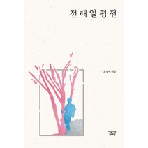 전태일평전, 아름다운전태일(전태일기념사업회), 조영래 (지은이)