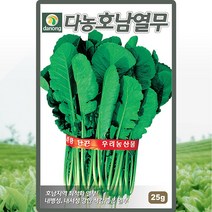 다농 호남열무씨앗 25g