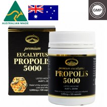 호주 네이쳐스탑 프로폴리스 5000mg 120캡슐 플라보노이드, 단품