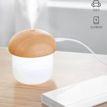 침실 거실 책상 USB 미니 소형 가습기 아이방 원룸, 연비치브라운