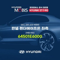 현대모비스 판넬 펜더에이프론 좌측 (64501E6000), 1개