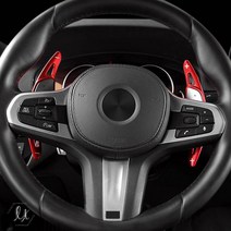 [간지] BMW 패들쉬프트 바디 확장 연장킷 튜닝 악세사리 몰딩 자동차 인테리어 용품, 실버, A타입(Performance로고)
