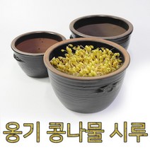 옹기 콩나물시루 재배기 키우기, 옹기콩나물시루 소