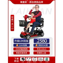 노인전동차 전동카 어르신 소형전기차, 24V, 2인승12Ah 납산 40마일250W