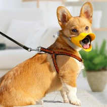 Garrl 강아지 전기목걸이 짖음방지기 강아지훈련기 충전식 무선 컨트롤 방수 쾌속충전