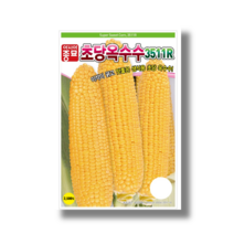 전문가용 초당옥수수 3511R 2000립 / 전문가용 통크고 알수가많은 옥수수