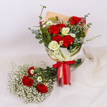 [메시지카드]카네이션 생화 믹스 꽃다발 5월 어버이날 스승의 날 꽃배달, [메시지카드] 클래식레드, 대형(15송이)