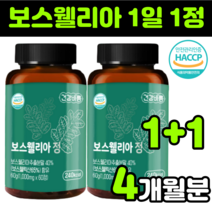 인도산 제품 보스웰리아 보스웰릭산 보스웰리스 보스헬리아 보스넬리아 보슬엘리아 보스헬리아 boswellia extract 보수엘라 해썹 햇썹 햇섭 haccp 인증 1000mg, 2통(4개월분)