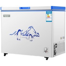 급속냉동고 가정용 업소용 카페 동결고 생선보관, 169L 업소용 BD-169S198L