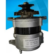 제너레이터풀리 알터네이터 모터 무선 발전기 차량, 02.220V800W