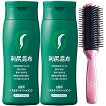 일본직발송 6. SASTTY 리 시리 헤어 컬러 트리트먼트 (다크 브라운) 200G 2 개 세트 + 미네랄 이온 브러쉬, 다크 브라운 + 미네랄 이온 브, One Color