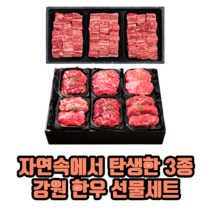 자연속에서 탄생한 3종 강원 한우 선물세트 명절선물세트 찜갈비세트 정육세트, 찜갈비세트 4호(2.4kg), 3세트