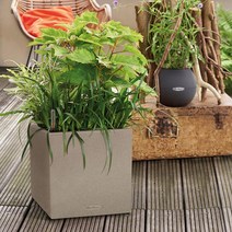 레츄자 칸토 스톤 플라스틱 저면관수 화분, 샌드베이지