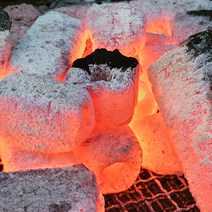 대나무숯 바베큐숯 캠핑 팬션 업소용숯 10kg
