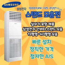 삼성전자 스탠드 냉난방기 냉온풍기 삼성전자 13평형 15평형 18평형 23평형 30평형 36평형 40평형, AP060RAPPBH1S (15평형) 기본별도 TD