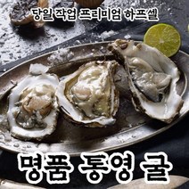 [산지직송] 통영 굴 생굴 반각굴 하프쉘 하프셸, 2단(60미내외)