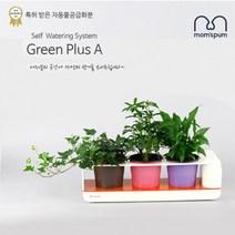 Mirae_미래T레이드_맘스품 무동력 자동급수시스템 화분+화초 시리즈_K세트)무동력 물순환 화분 쿠아리 플라스틱화분 컬러화분 미니화분 인테리어화분 그린인테리어 공기_25KMXU:Z, [상품명]SIZE*COLOR, [상품명]SIZE*COLOR