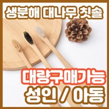 대량 구매 가능 농약없이 성장한 모소대나무로 만들어진 생분해 칫솔, 1개, 성인, 숯