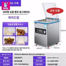 진공포장기 압축 테이블타입 영업용 업소용 포장 진공기 실링기 정육, 380플러스 대형(동심단펌프+대변압기)