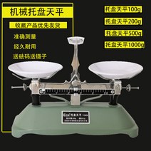 이룸랩 천칭 저울 수평 평형 계량 앉은뱅이저울 무게측정 스탠드식 영점저울, 500g 천평 + 세트 분동