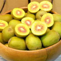 모두의보부상 제주 레드키위, 3kg 중대과(35과내외), 1개