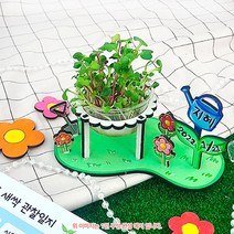 오렌지몰 새싹 키우기 미니 정원+관찰일지 1064080