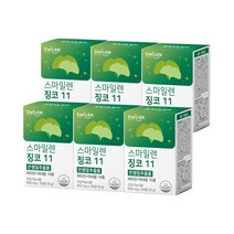 스마일렌 징코11 30정 6통 은행잎추출물, 옵션선택