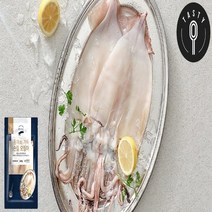 [쇼핑엔티] 손질오징어 240gX6팩, 없음, 6개, 240g