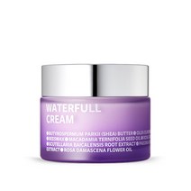[아이소이_화장품] 워터풀 크림50ml, 단품