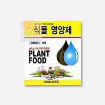 화초영양제 관엽 난 화분 식물 다육이 액체 영양제 10P