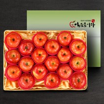[22년 햇사과][산내들]명품 밀양얼음골 기스사과 5kg(17내)