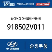 와이어링 어셈블리-배터리 (+) (918502V011) 벨로스터