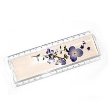누름꽃공예 15cm자만들기.에코키즈