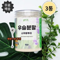 순수100% 국내산 우슬가루 분말 뿌리 우술 차 쇠무릎 쇠물팍 무릎관절 연골 뼈 효능 300g/밀폐용기, 300g 3통