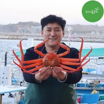 최고다농수산 홍게 산지직송 1kg 3kg 손질홍게 박달홍게 홍게도시락 자숙비용 무료, 프리미엄 홍게 2kg내외 4~6미 (자숙)