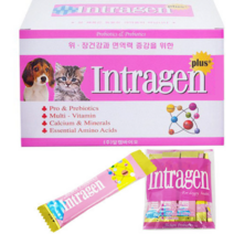 인트라젠 플러스 분말 반려동물 영양제, 60개입